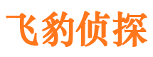 丁青寻人公司